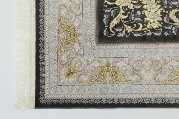 9024 دلفینی (2)