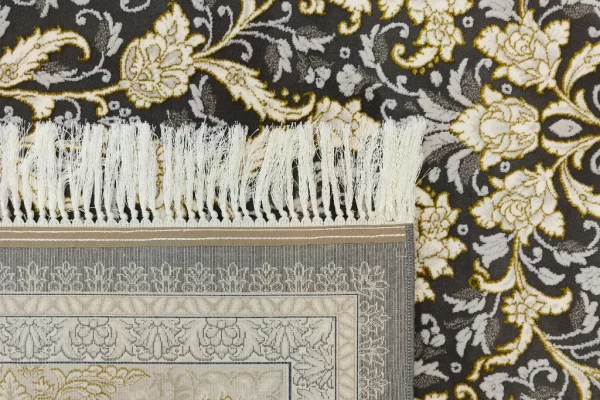 9024 دلفینی (3)