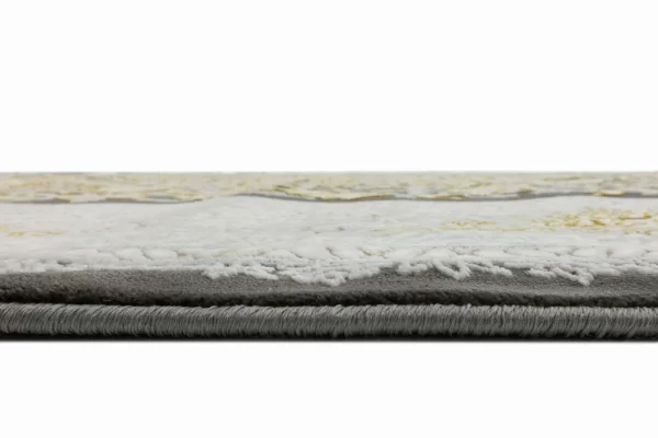 9024 دلفینی (4)